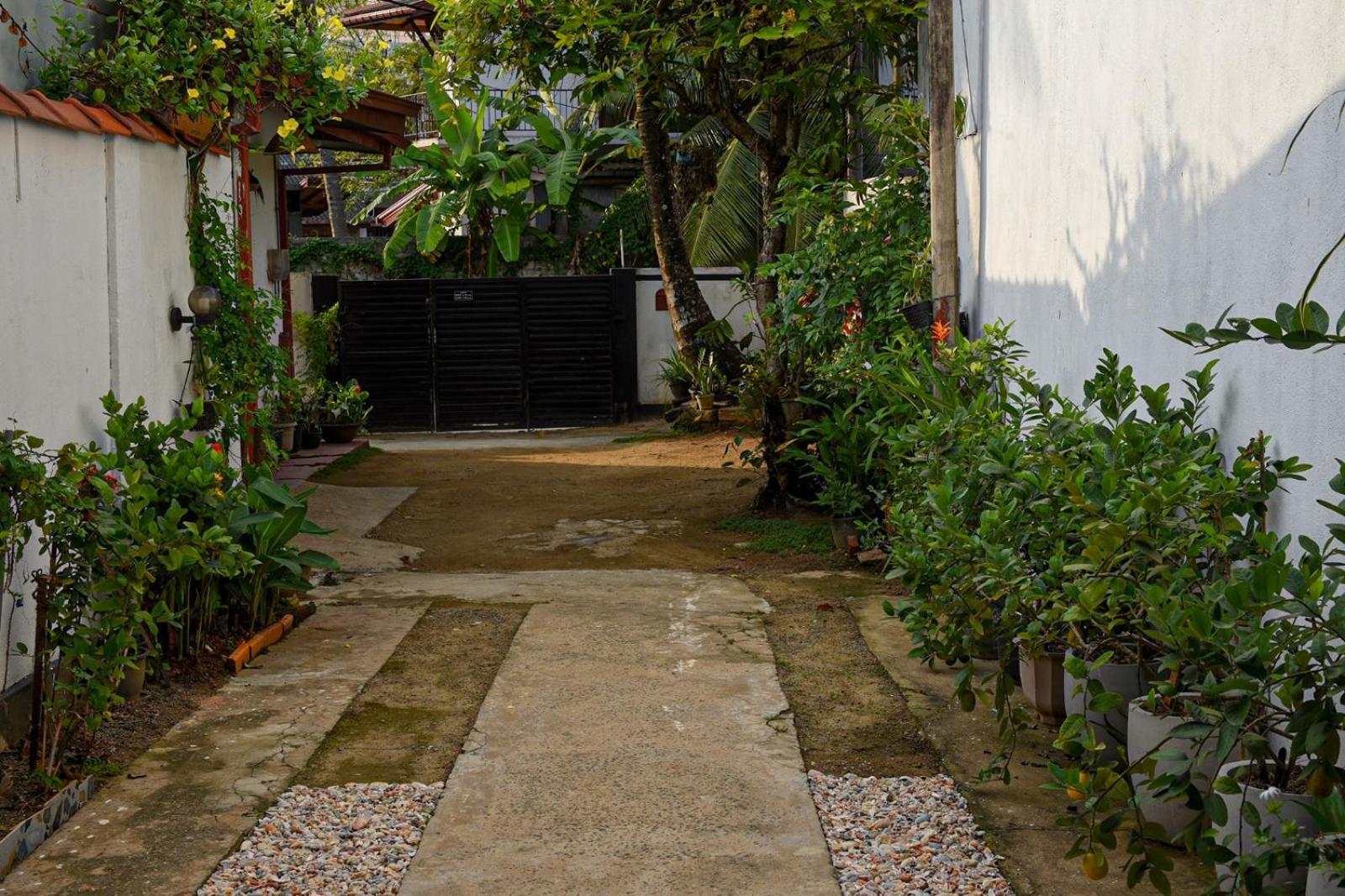 4Ty Two Homestay גאלה מראה חיצוני תמונה